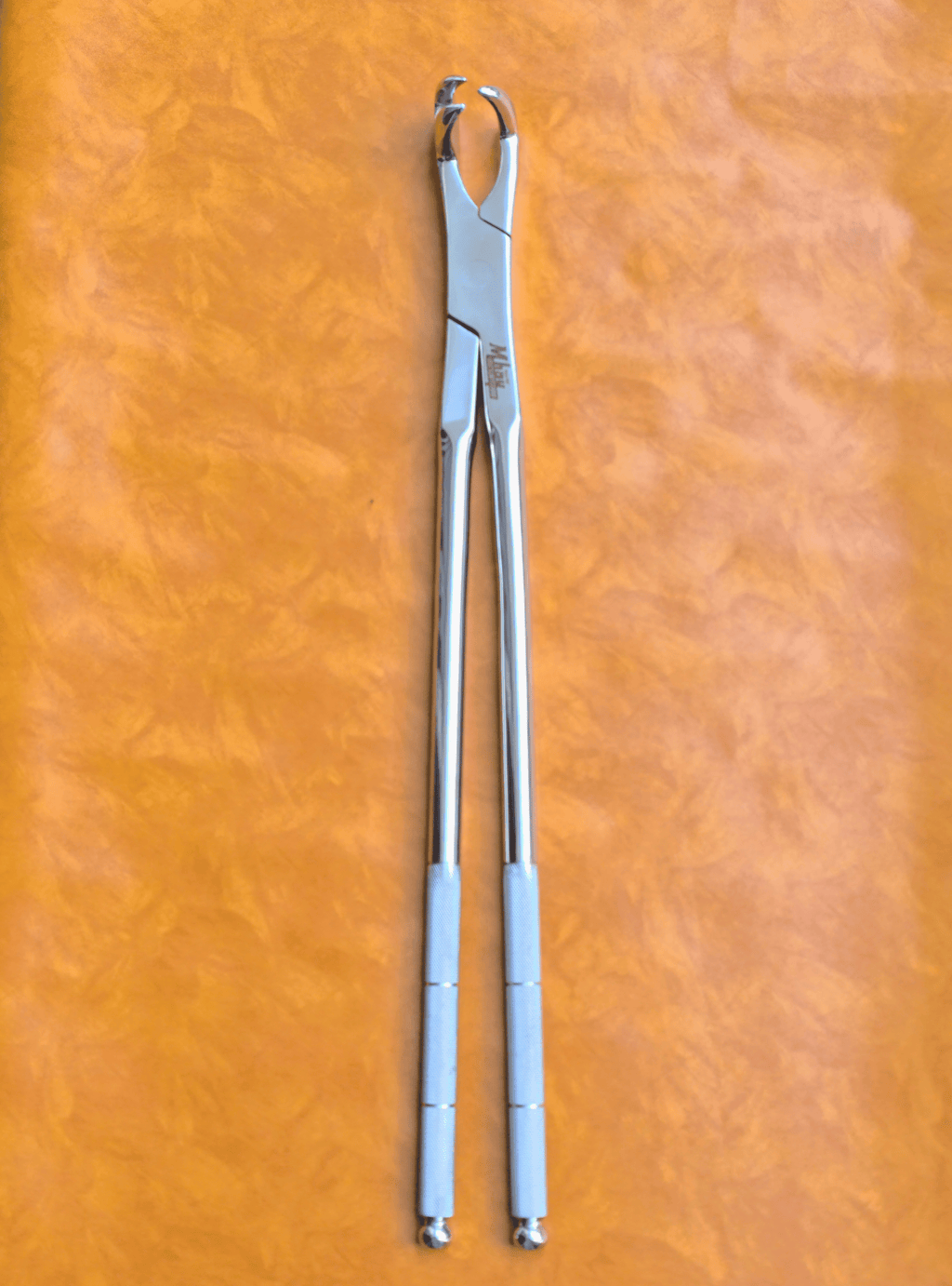 Three Prong On Side 21"  Equine Dental Forceps