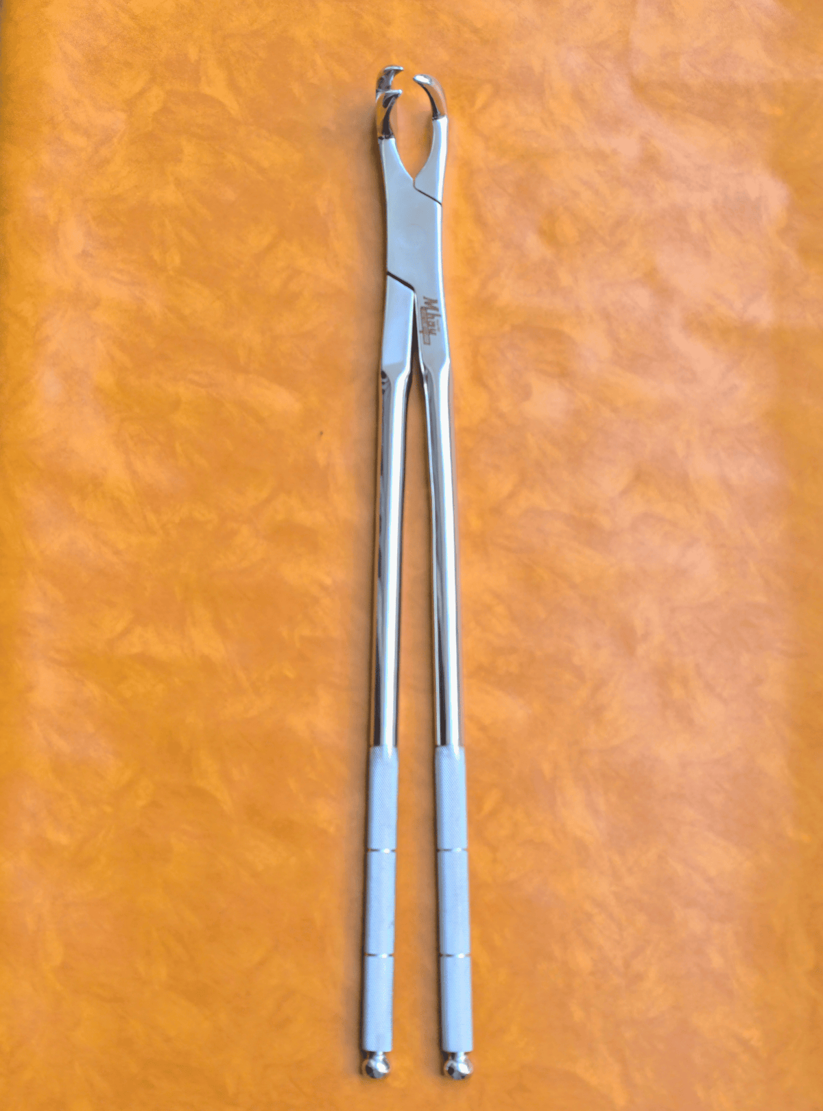 Three Prong On Side 21"  Equine Dental Forceps