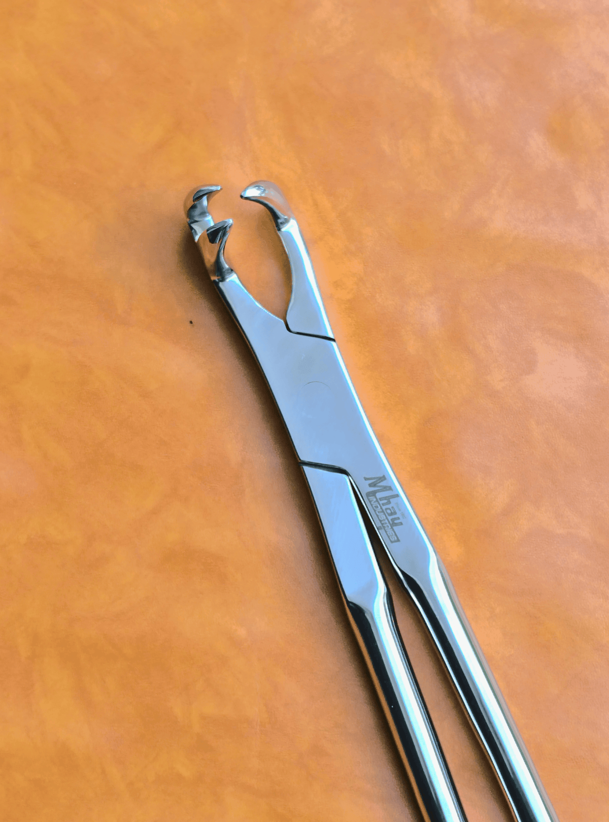 Three Prong On Side 21"  Equine Dental Forceps