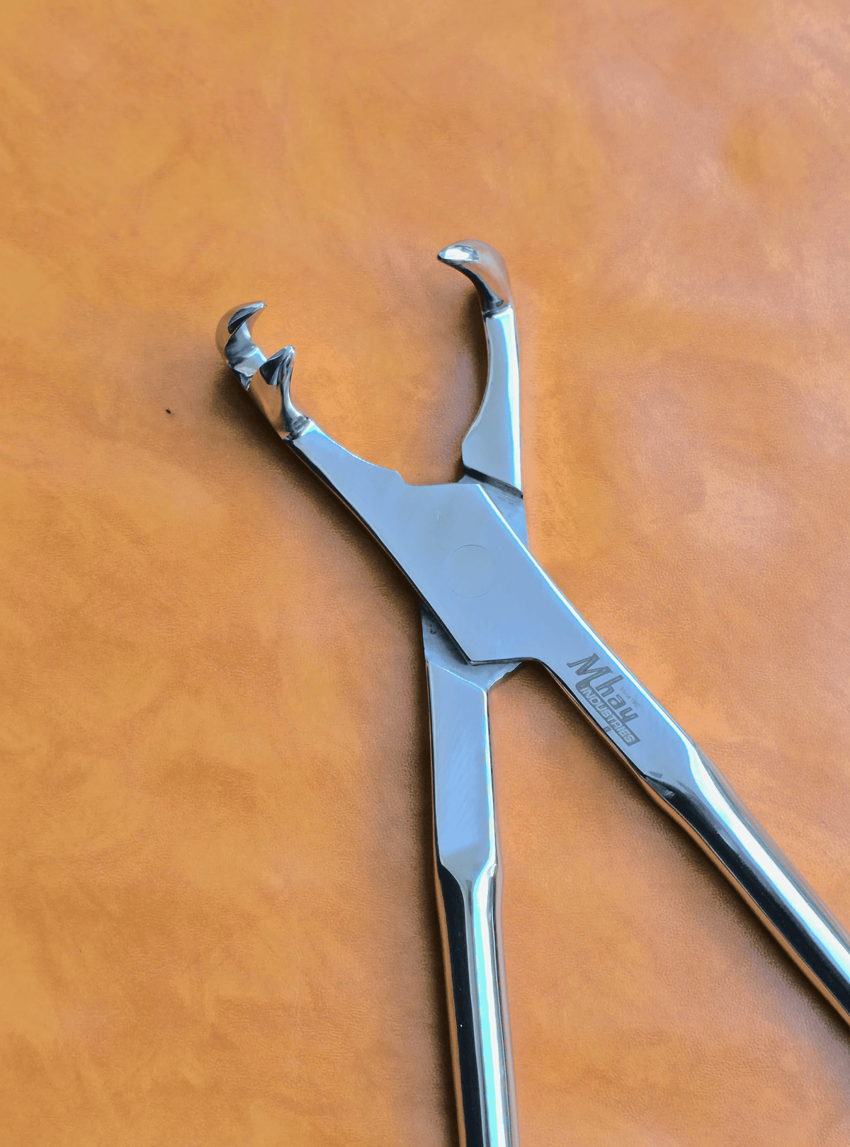 Three Prong On Side 21"  Equine Dental Forceps
