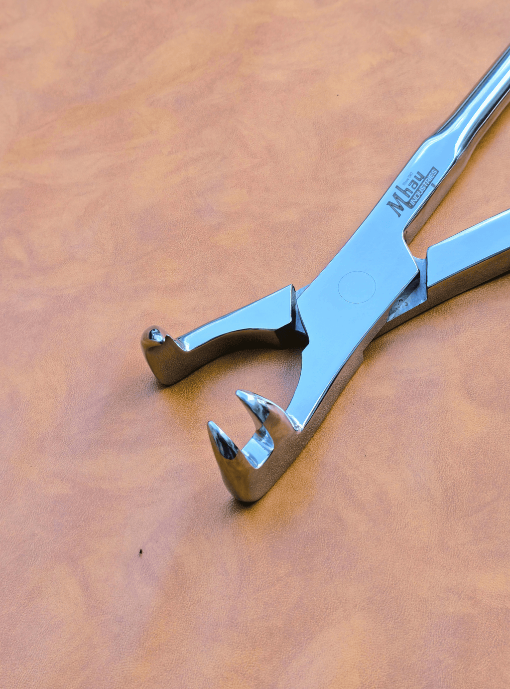 Three Prong On Side 21"  Equine Dental Forceps