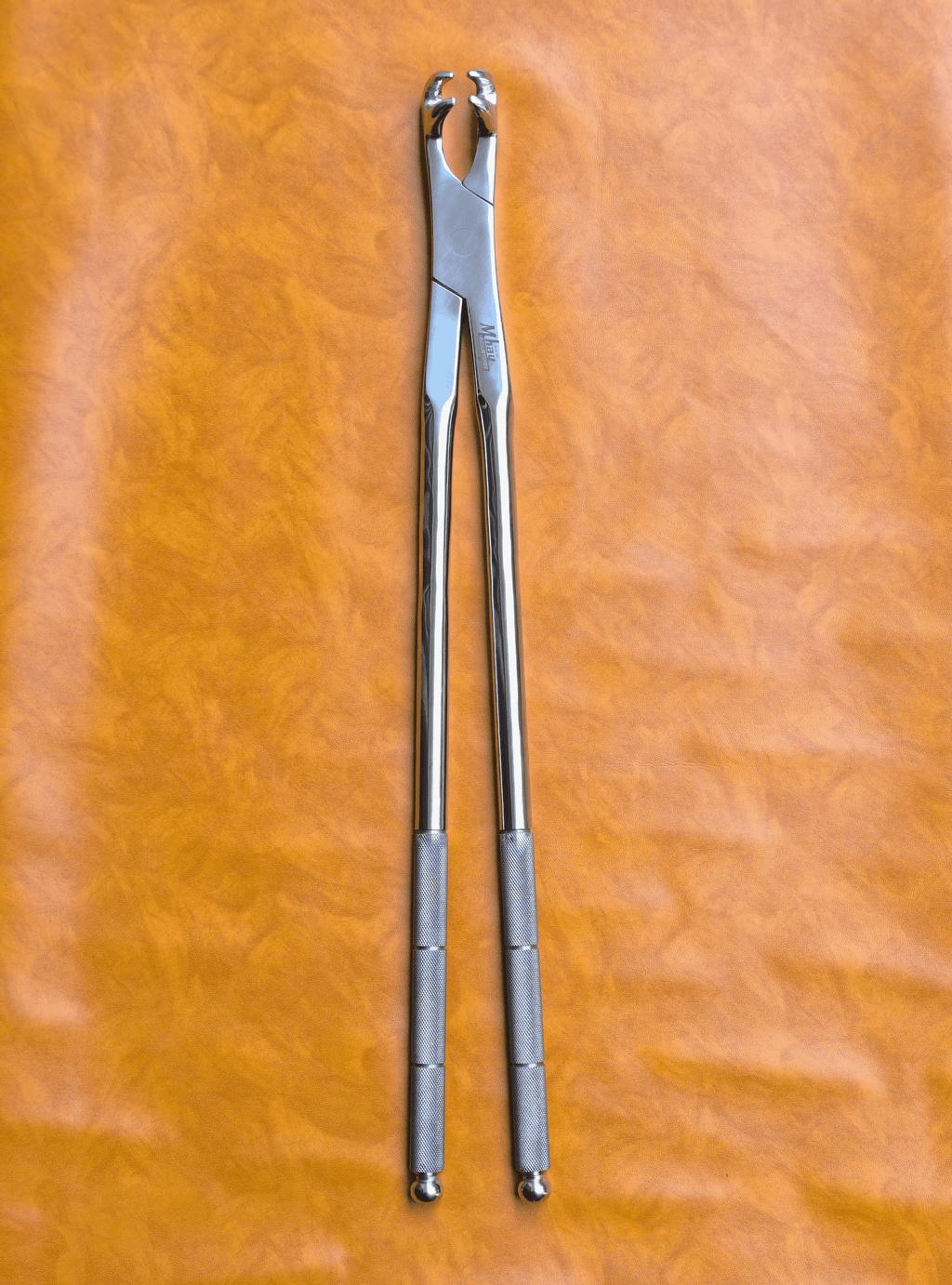 Four Prong 21"  Equine Dental Forceps