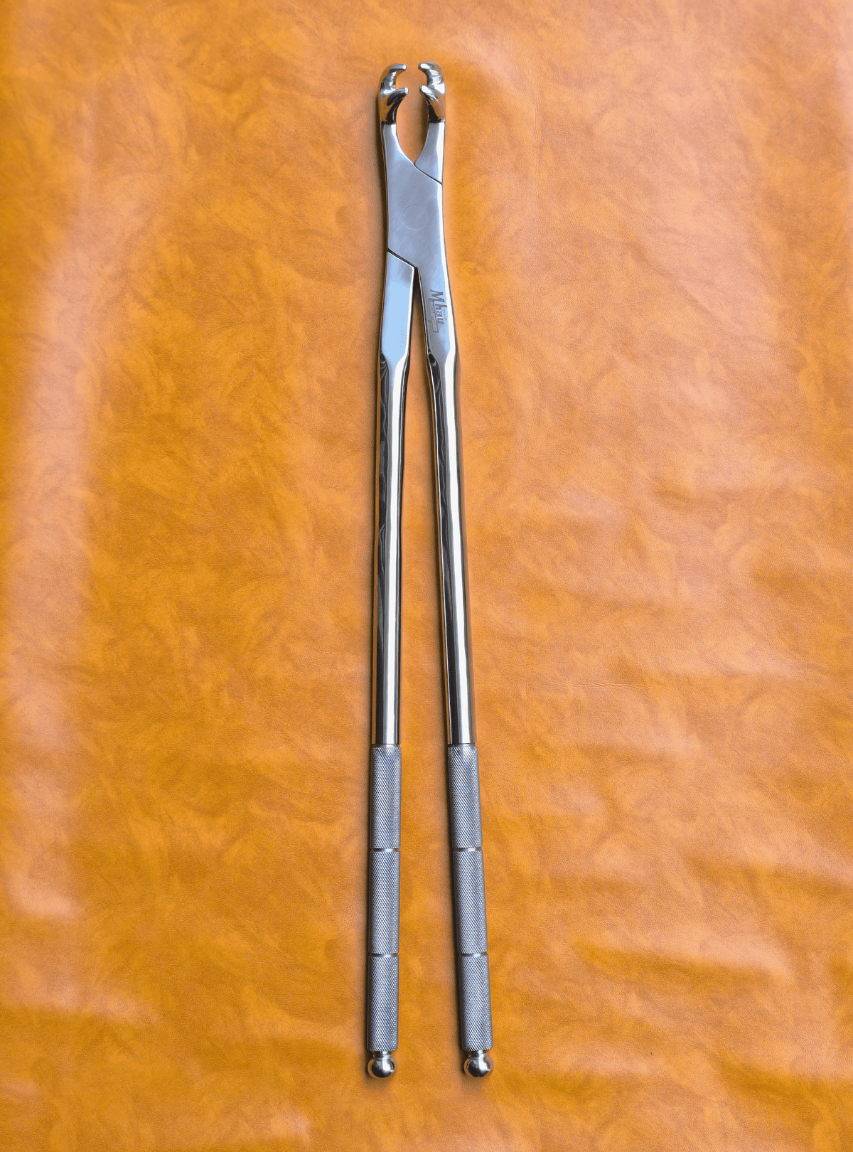 Four Prong 21"  Equine Dental Forceps
