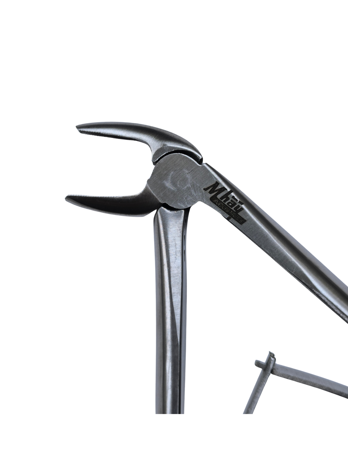 Dental Extraction 45° Curved Forceps 8" (Open)