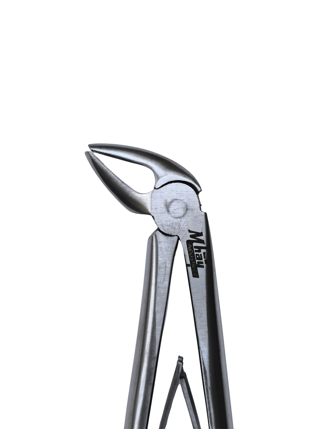 Dental Extraction 45° Curved Forceps 8" (Open)