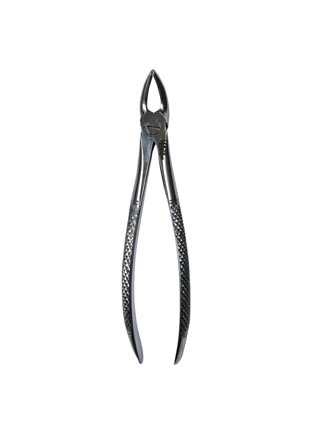 Dental Extraction Curved Forceps 7"