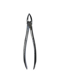 Dental Extraction Curved Forceps 7"