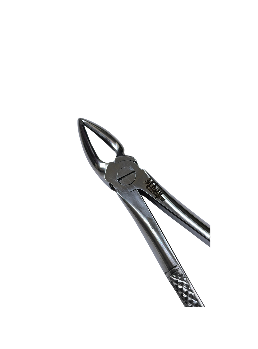Dental Extraction Curved Forceps 7"