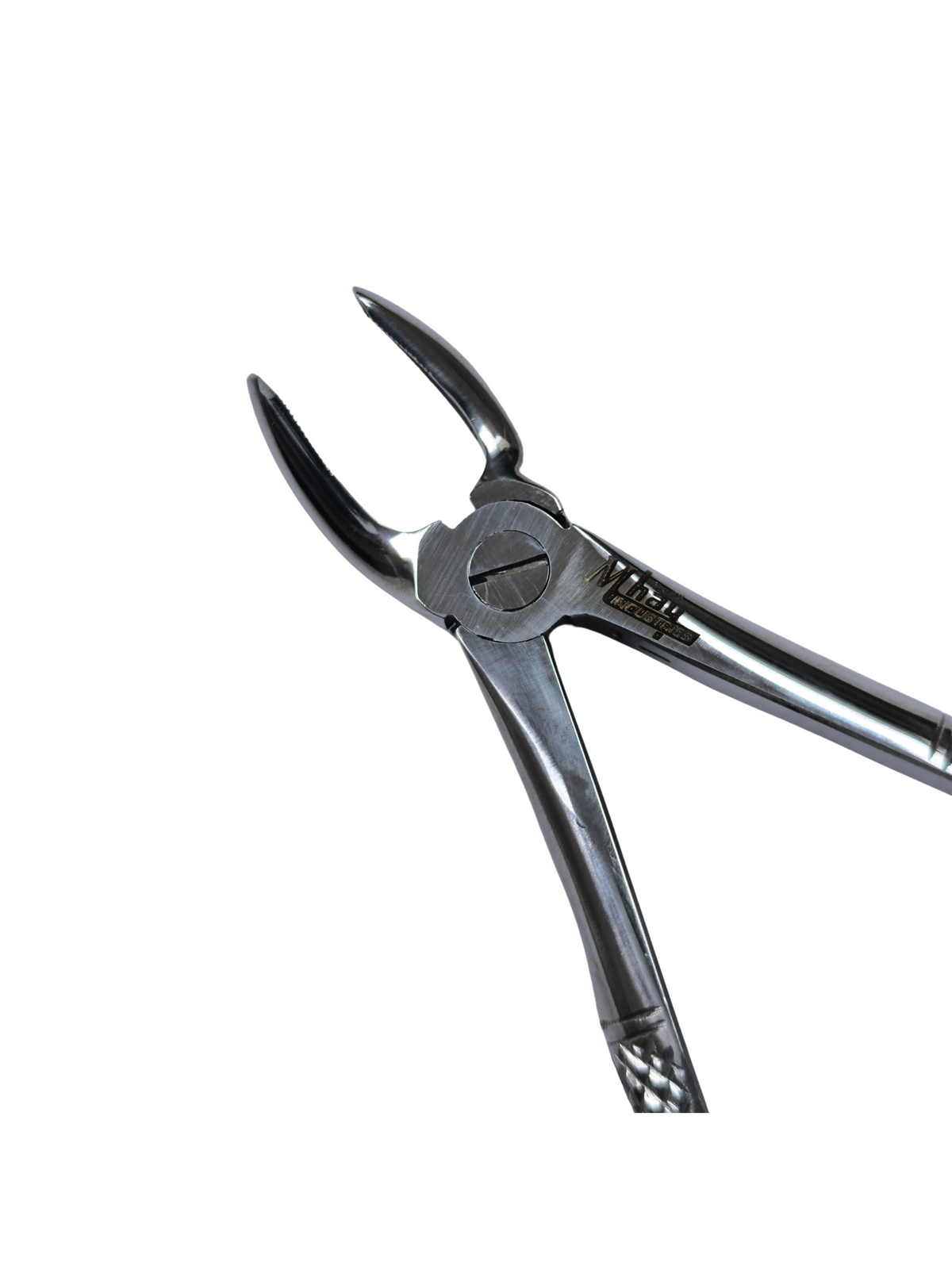 Dental Extraction Curved Forceps 7"