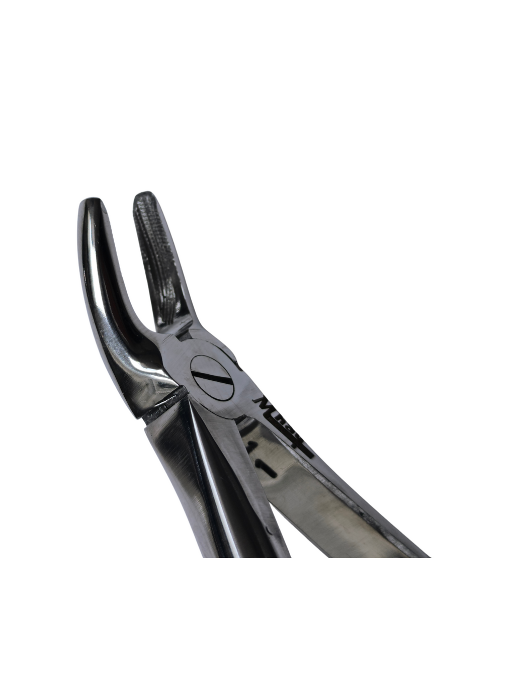 Dental Extraction Curved Forceps 7"