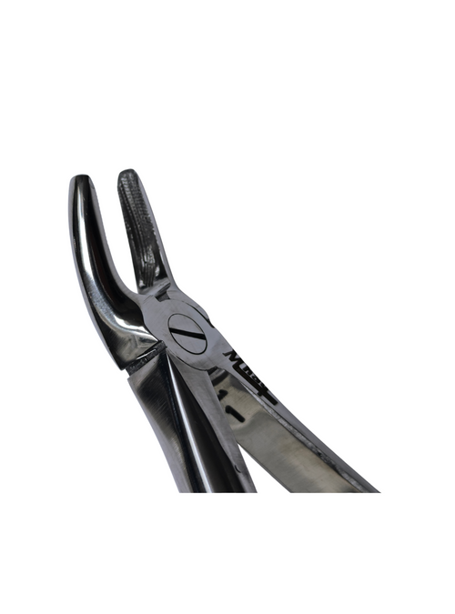 Dental Extraction Curved Forceps 7"