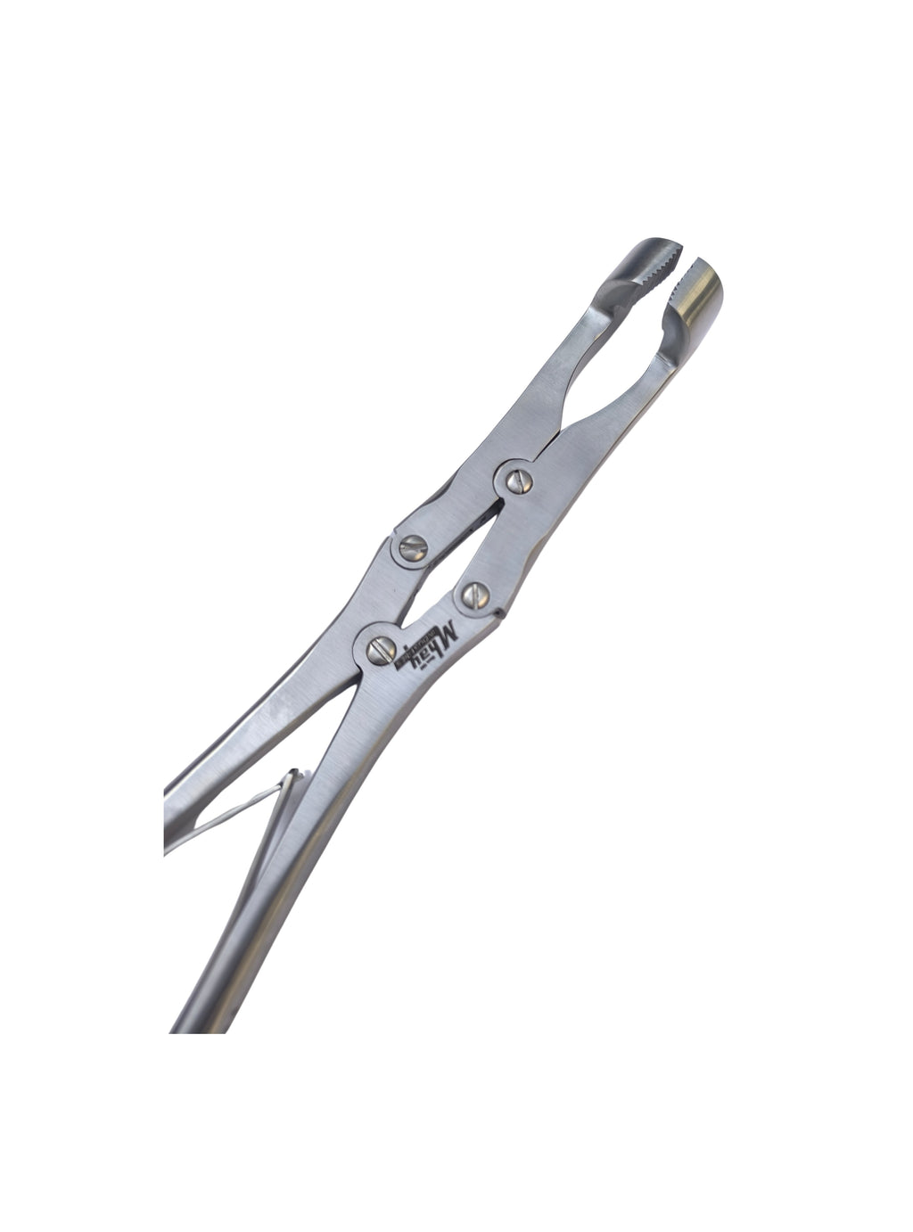 Serrated Jaw Molar Compound 12″ Forceps