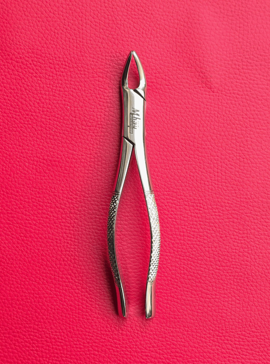 Curved Incisor Tooth Forceps 7″