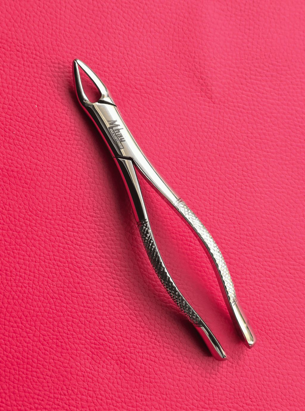Curved Incisor Tooth Forceps 7″
