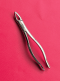 Curved Incisor Tooth Forceps 7″