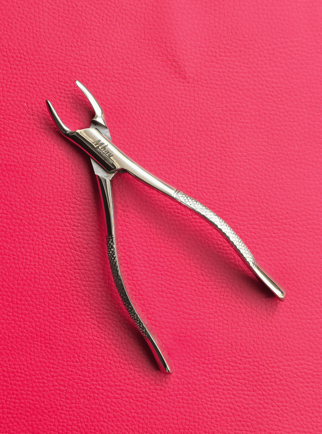 Curved Incisor Tooth Forceps 7″