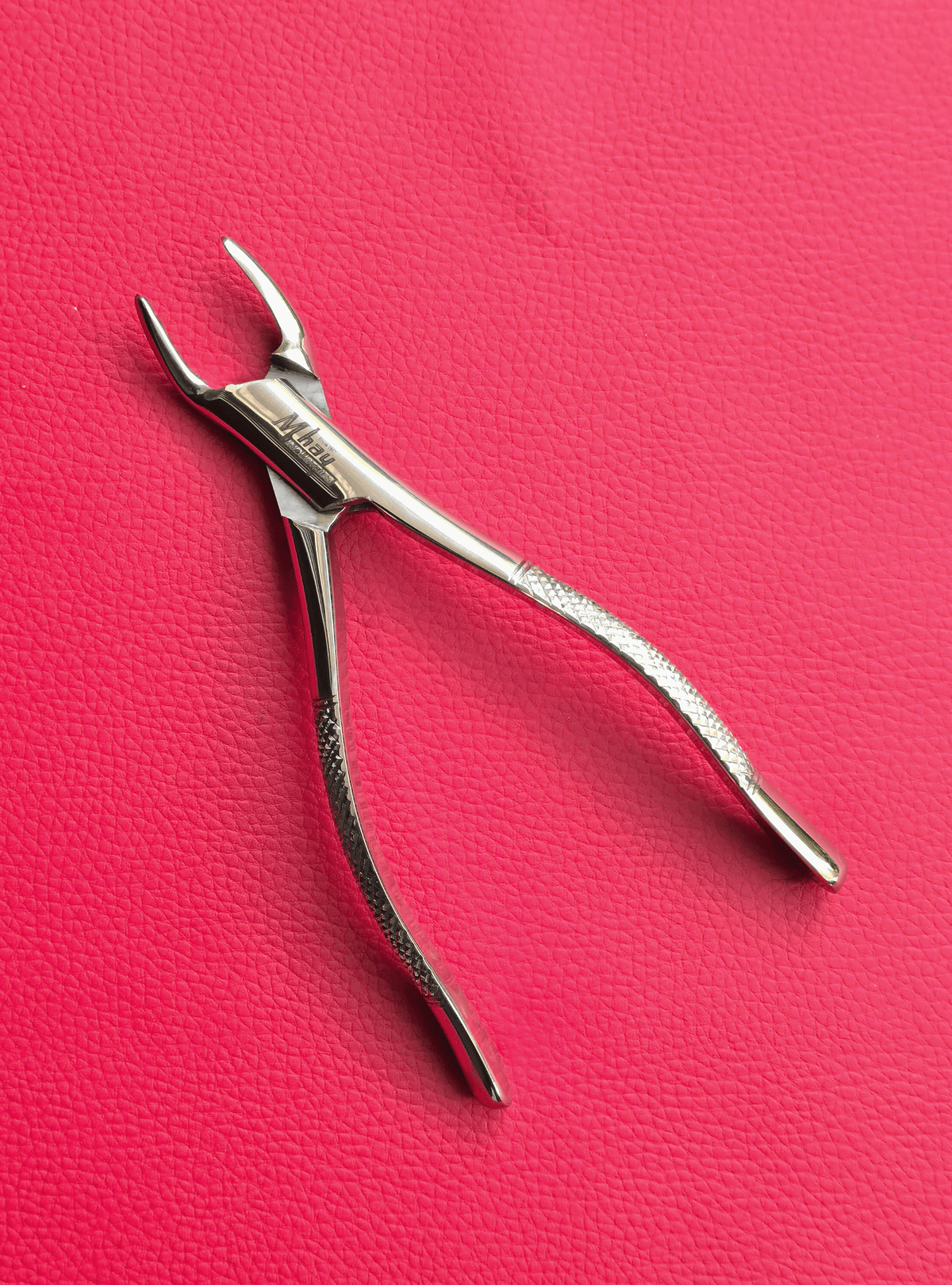 Curved Incisor Tooth Forceps 7″