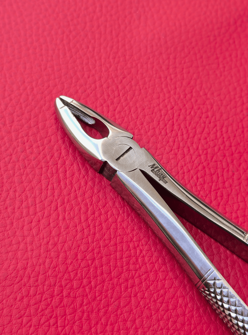 Curved Small Forceps 7″