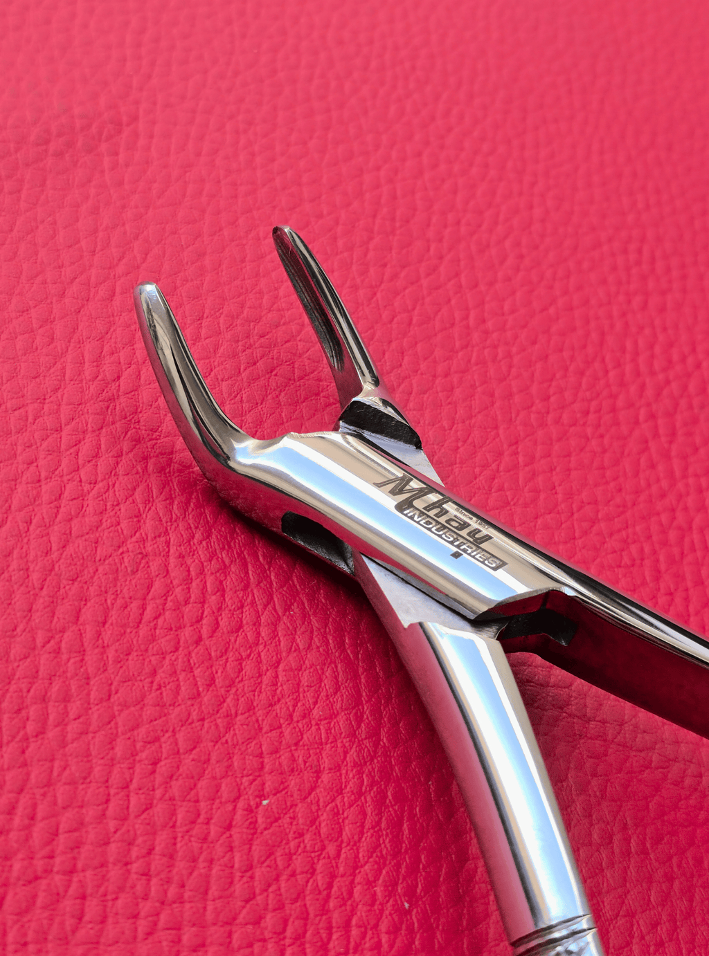 Curved Incisor Tooth Forceps 7″