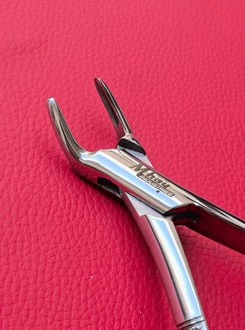 Curved Incisor Tooth Forceps 7″
