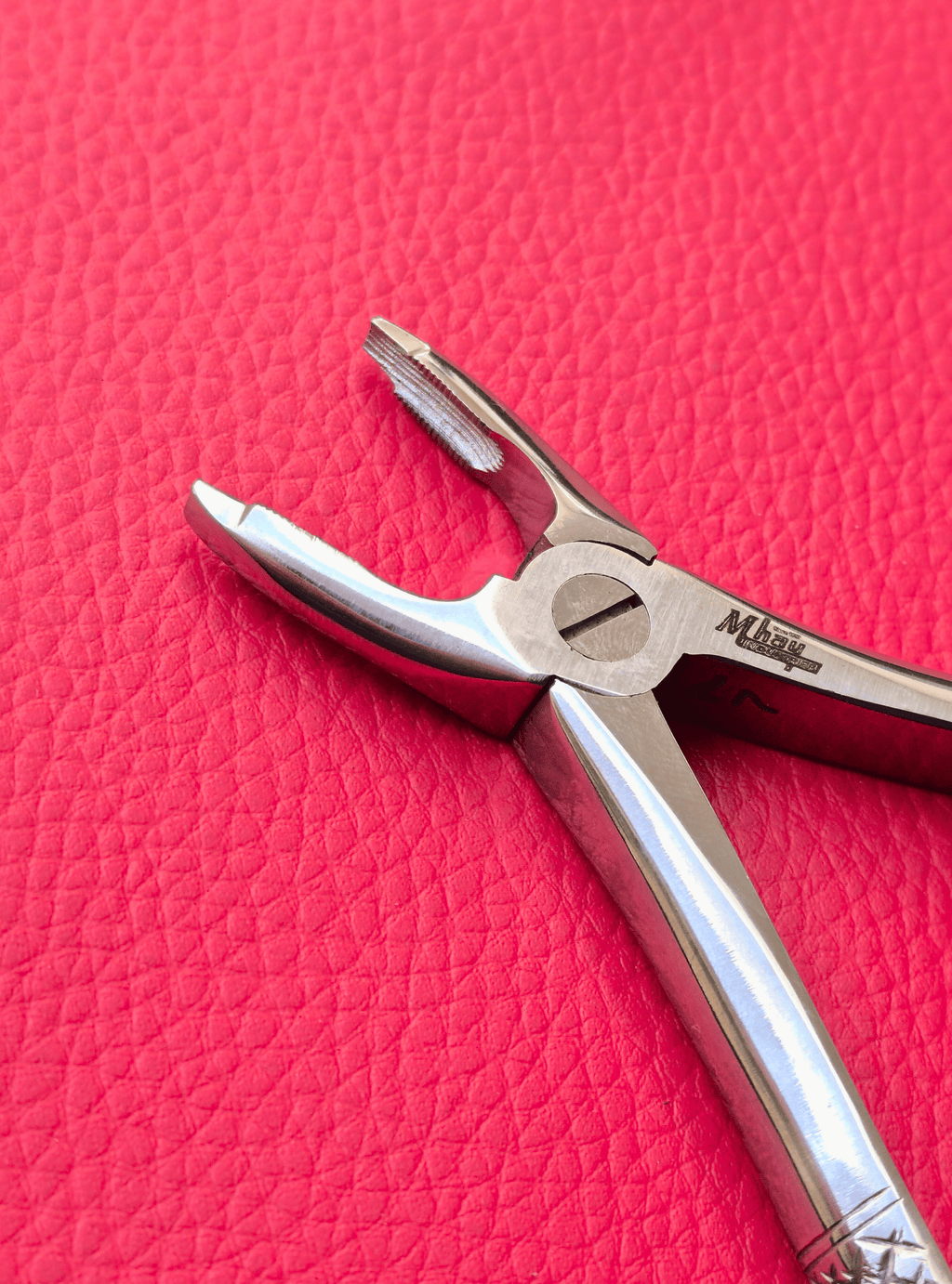 Curved Small Forceps 7″