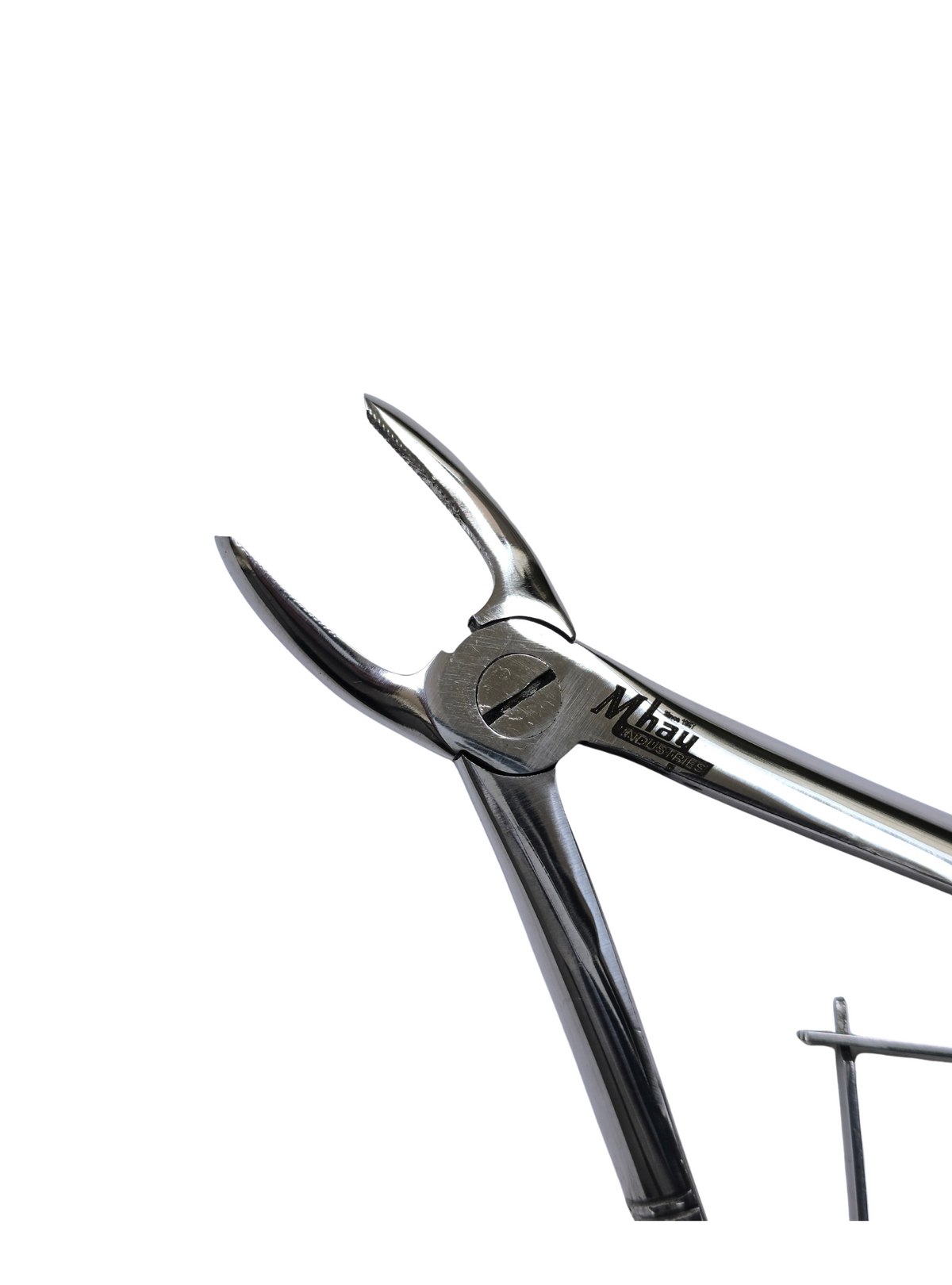 Dental Extraction Straight Forceps 7" (Open)