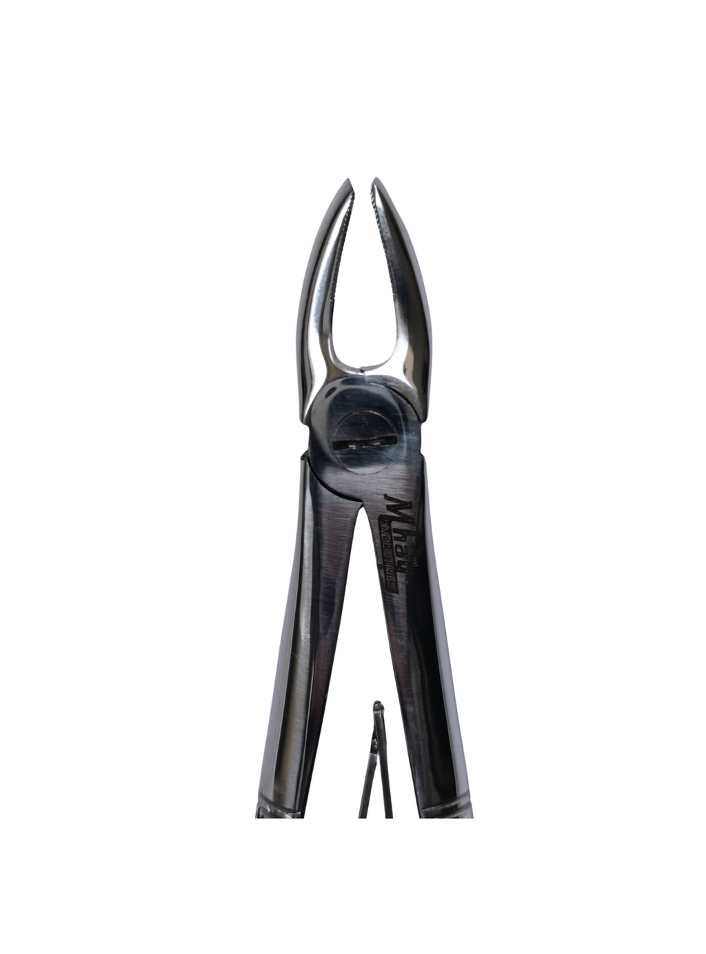 Dental Extraction Straight Forceps 7" (Open)