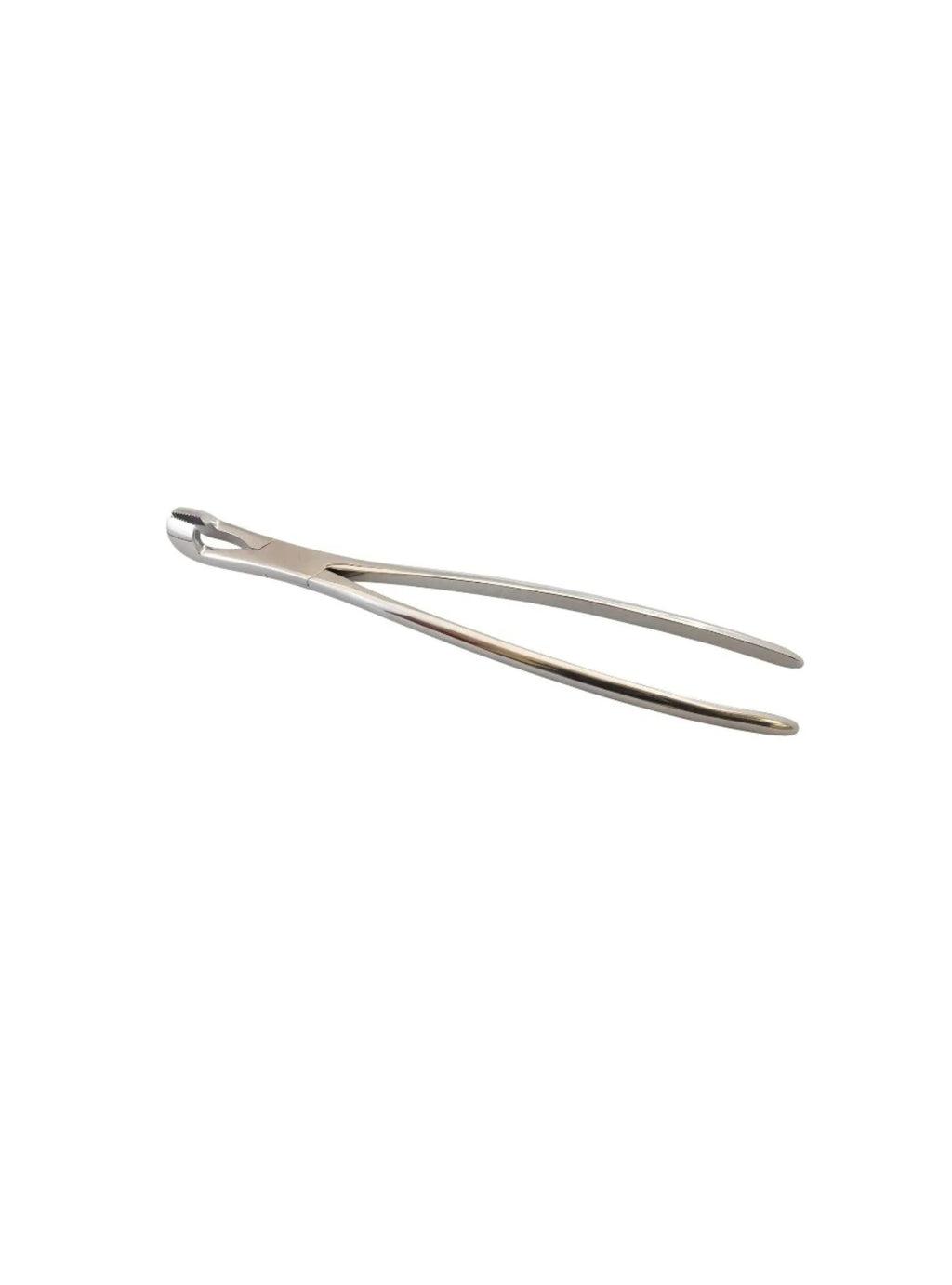Hewson Style Equine Dental Forceps
