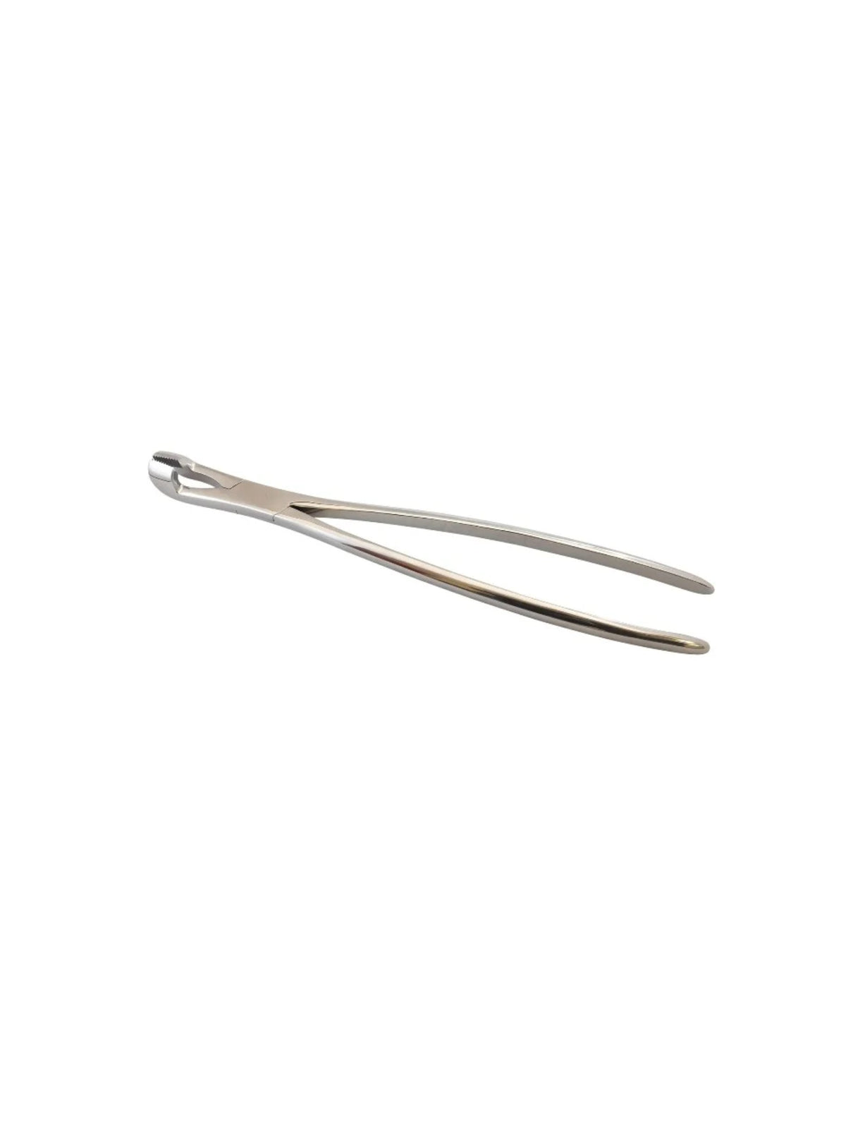 Hewson Style Equine Dental Forceps
