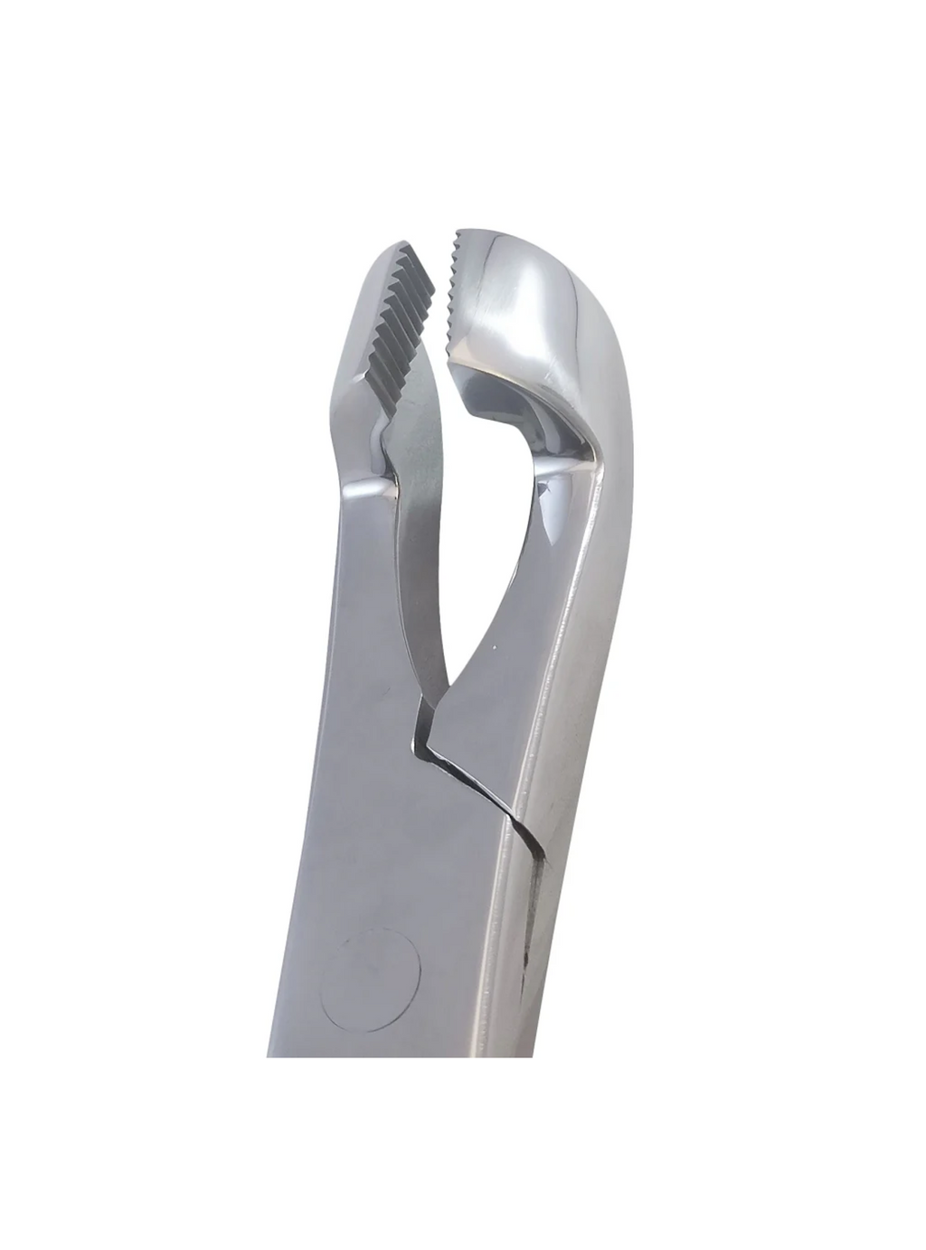 Hewson Style Equine Dental Forceps