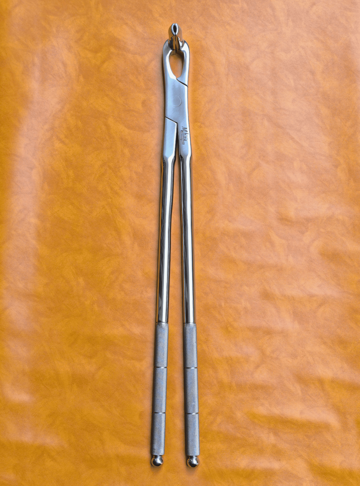 Long Nose 21" Equine Dental Forceps
