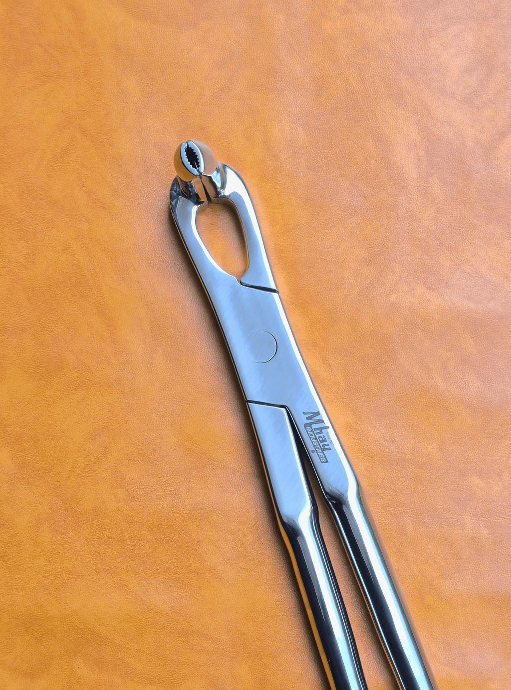 Long Nose 21" Equine Dental Forceps