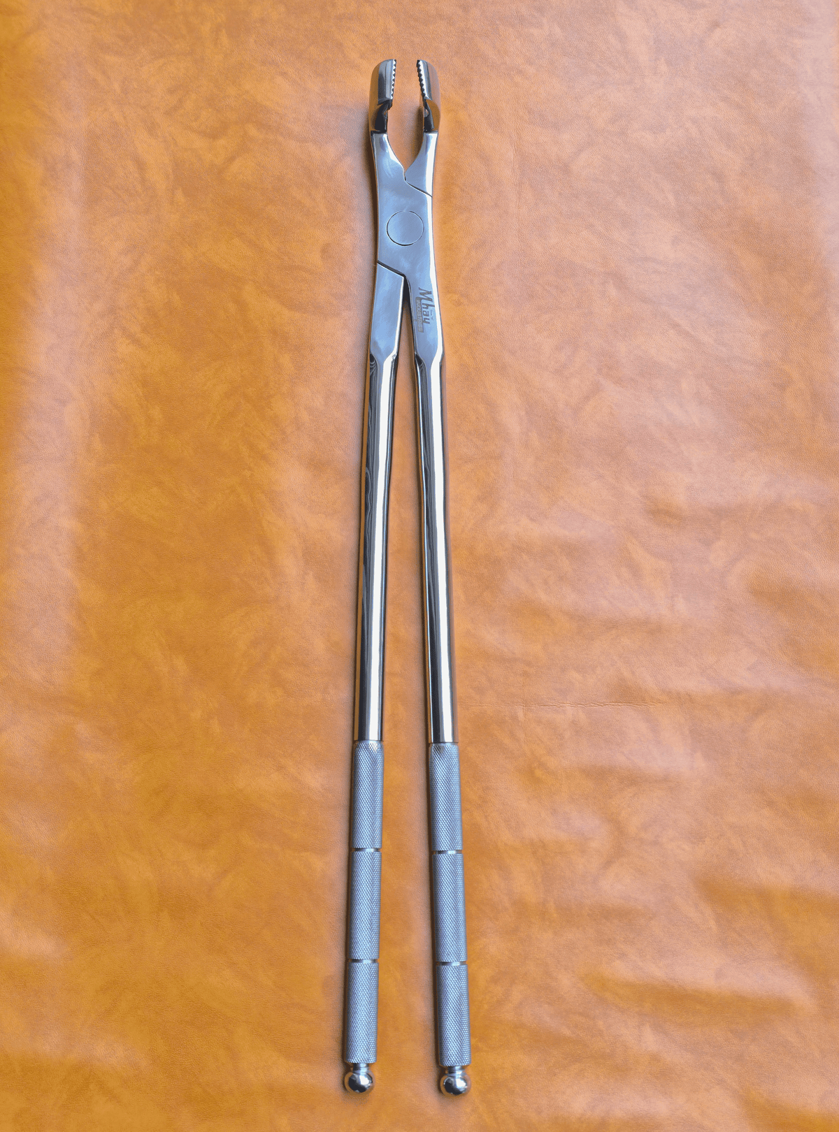 Molar Equine Dental Forceps 21"