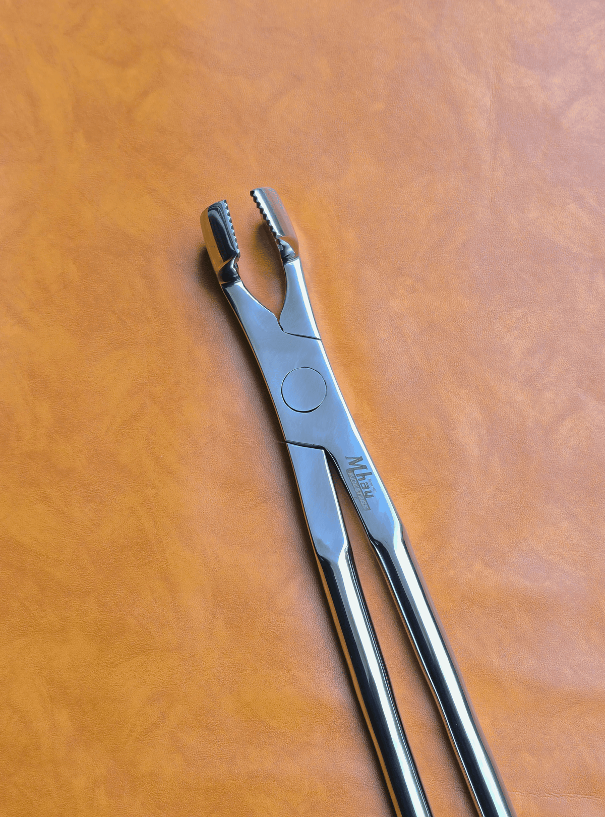 Molar Equine Dental Forceps 21"