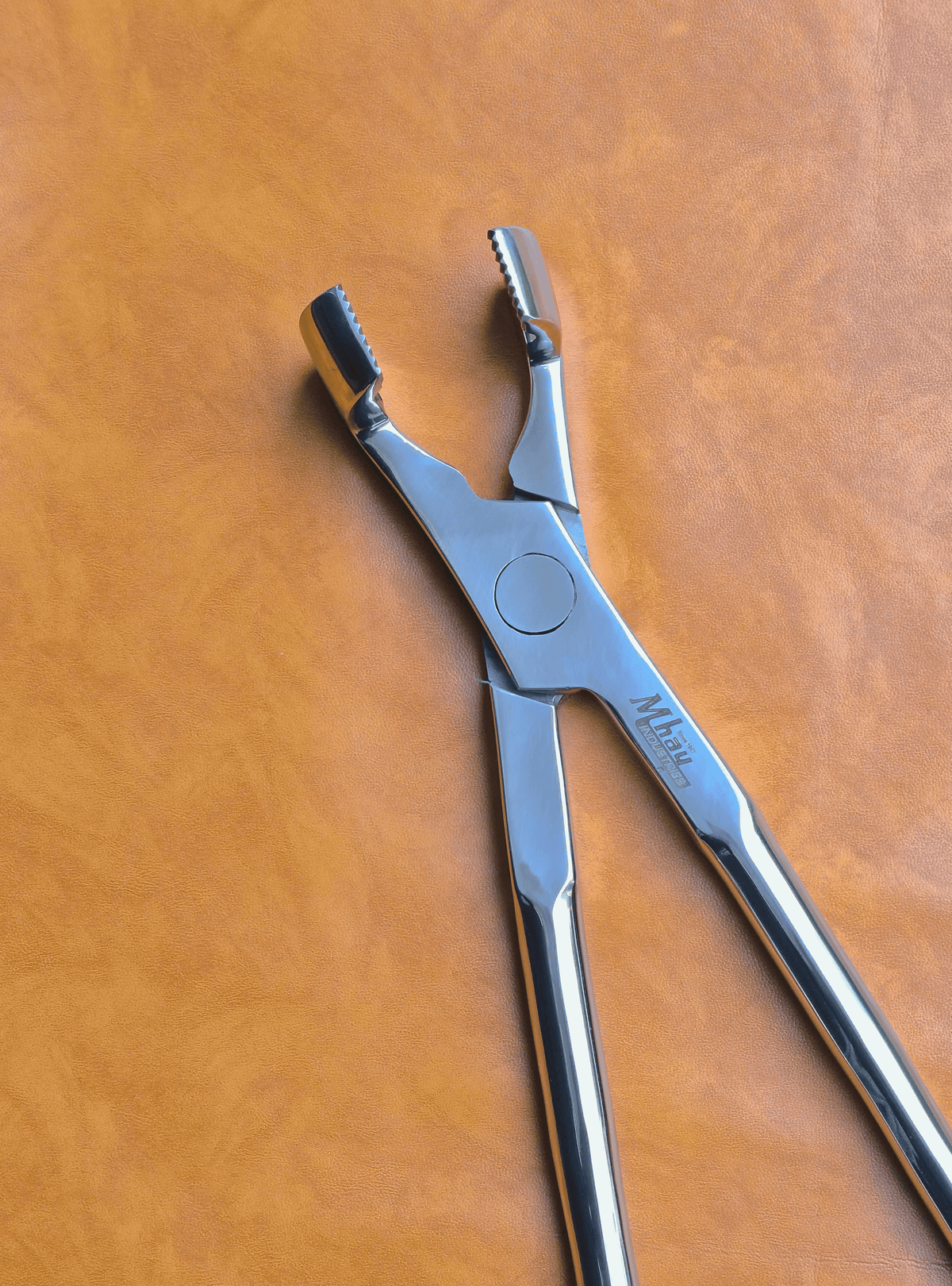Molar Equine Dental Forceps 21"