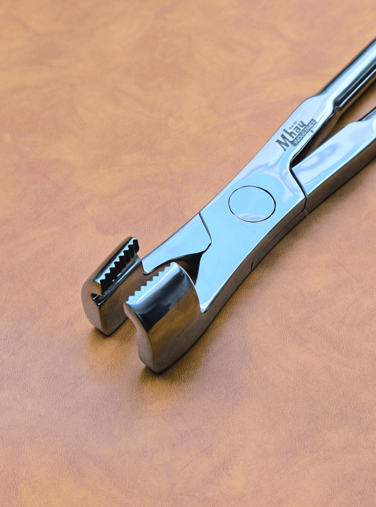 Molar Equine Dental Forceps 21"