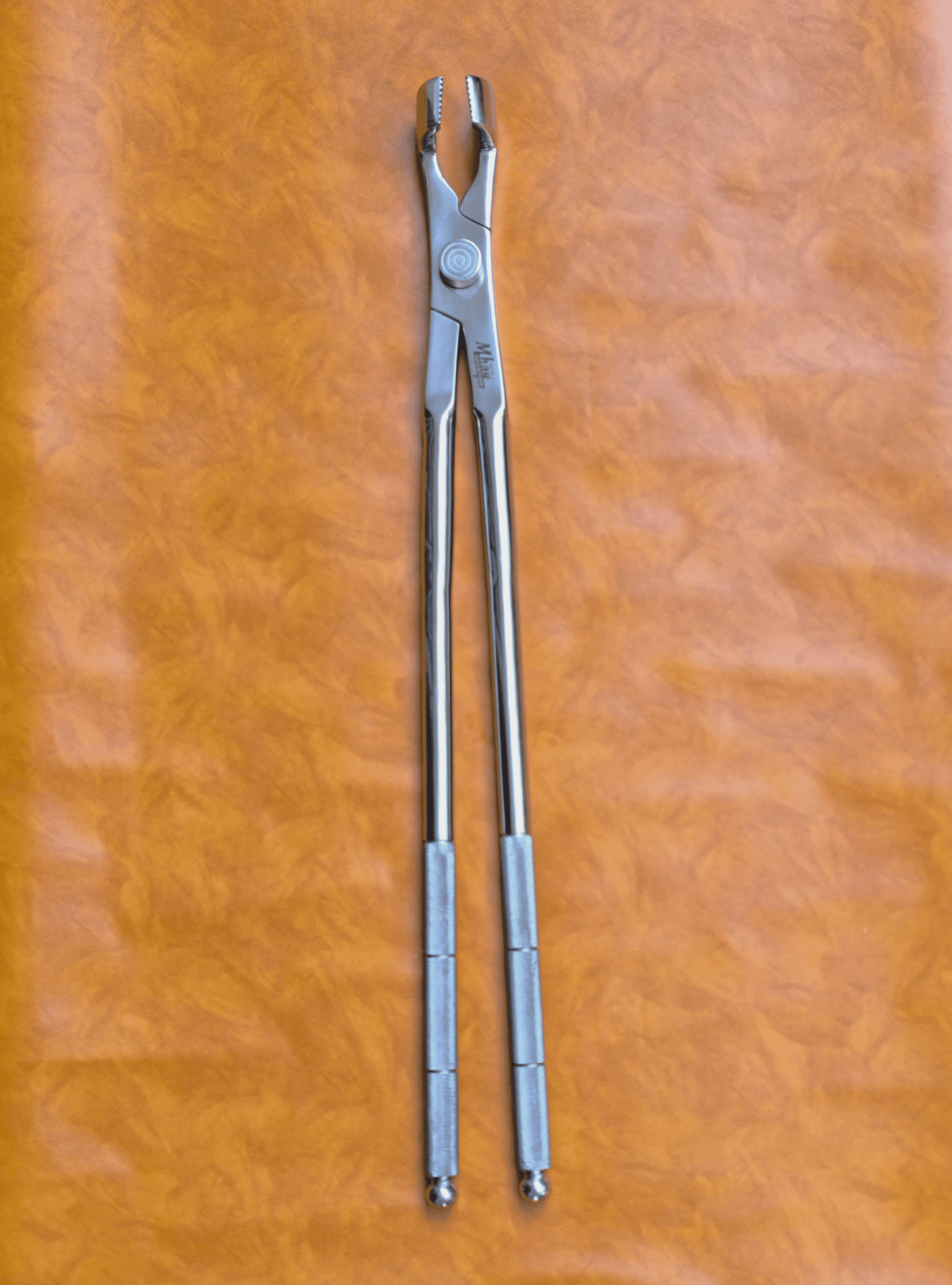 Molar Equine Dental Forceps with Fulcrum 21"