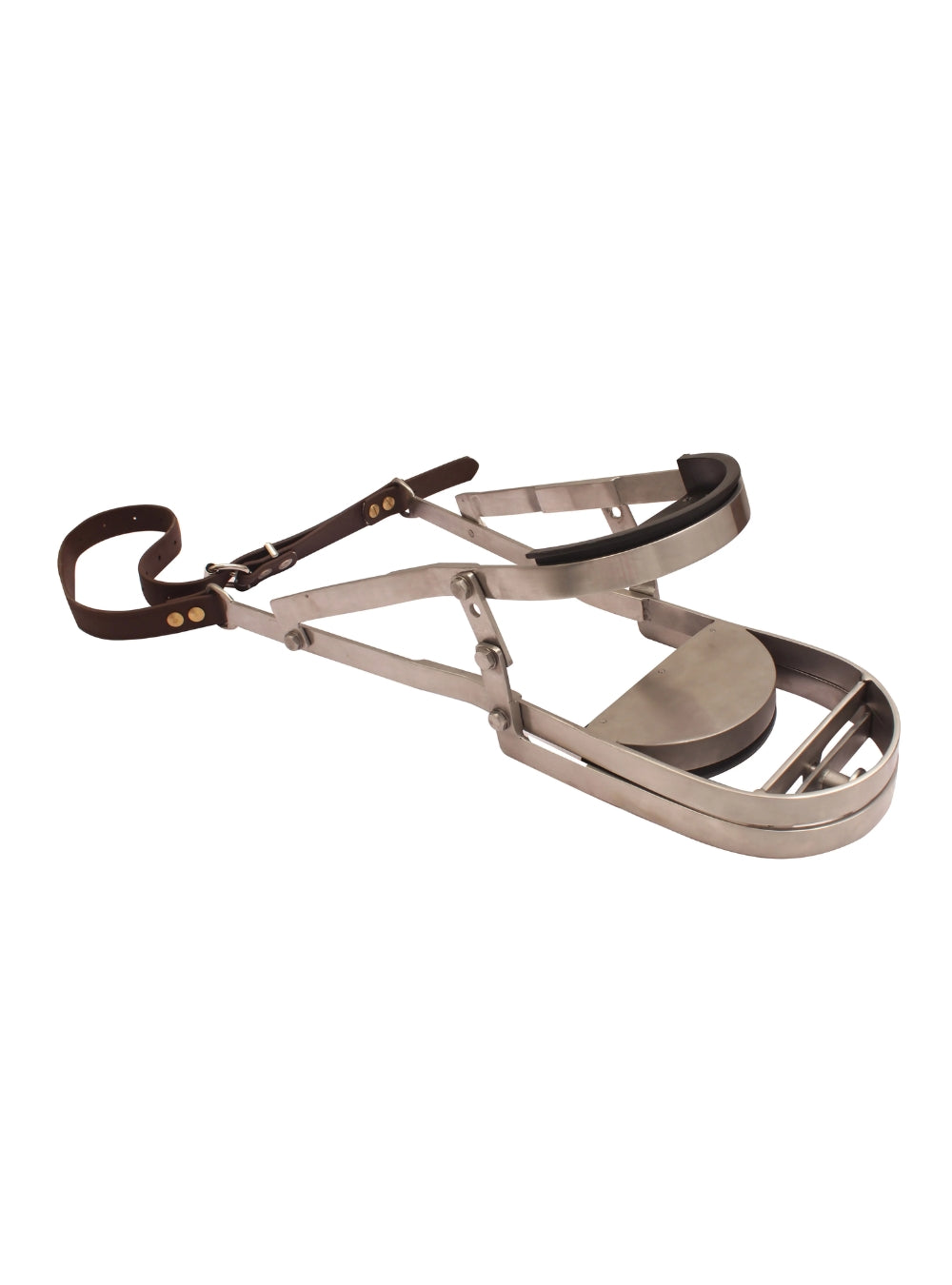 Camel Dental Speculum Set