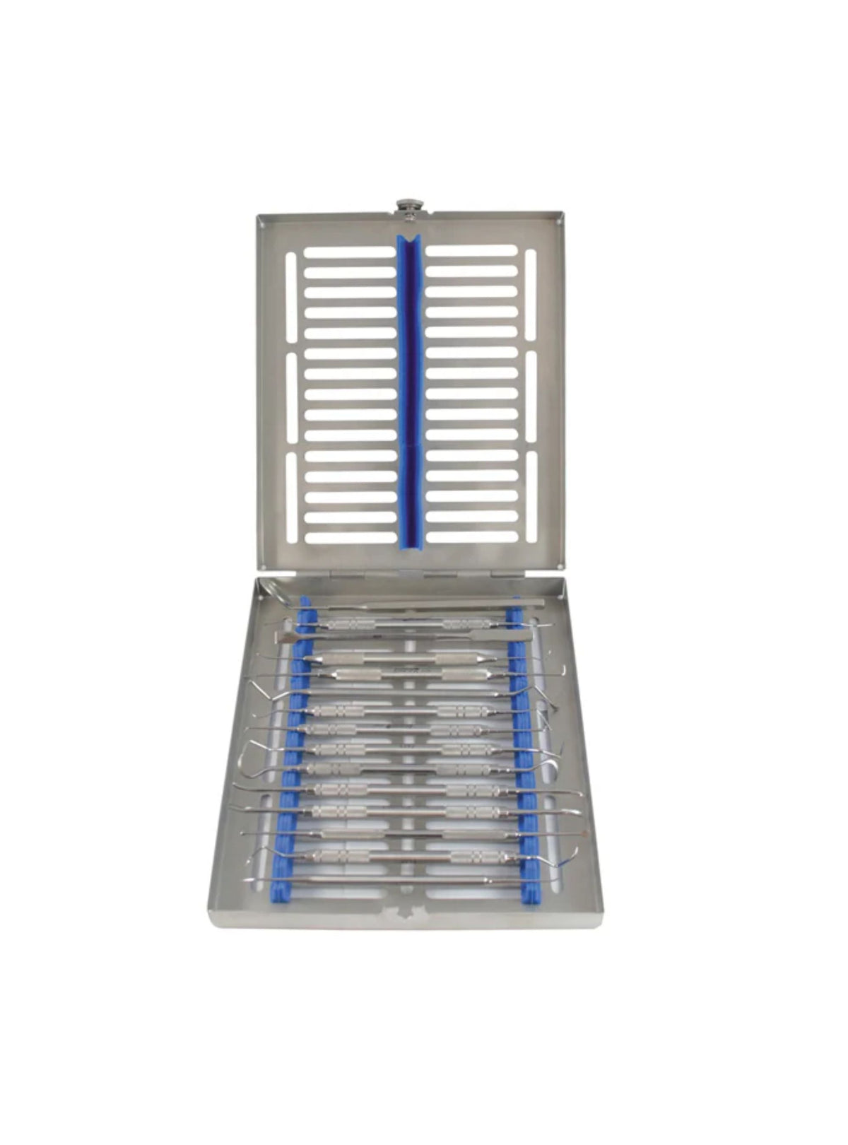 Dental Scaler & Probe Set