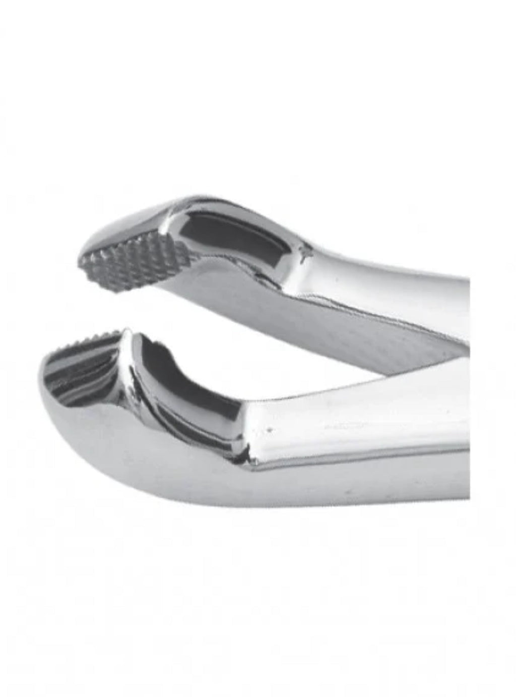 Reynolds Universal Cap Forceps 15"