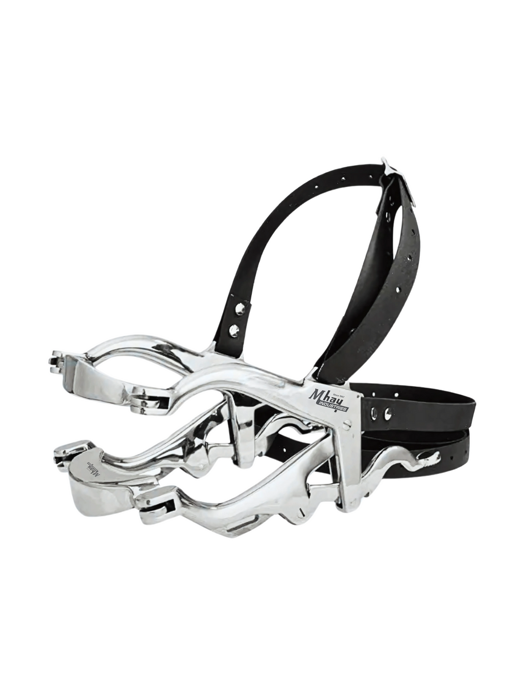Describes Hausman SE Equine Dental Speculum
