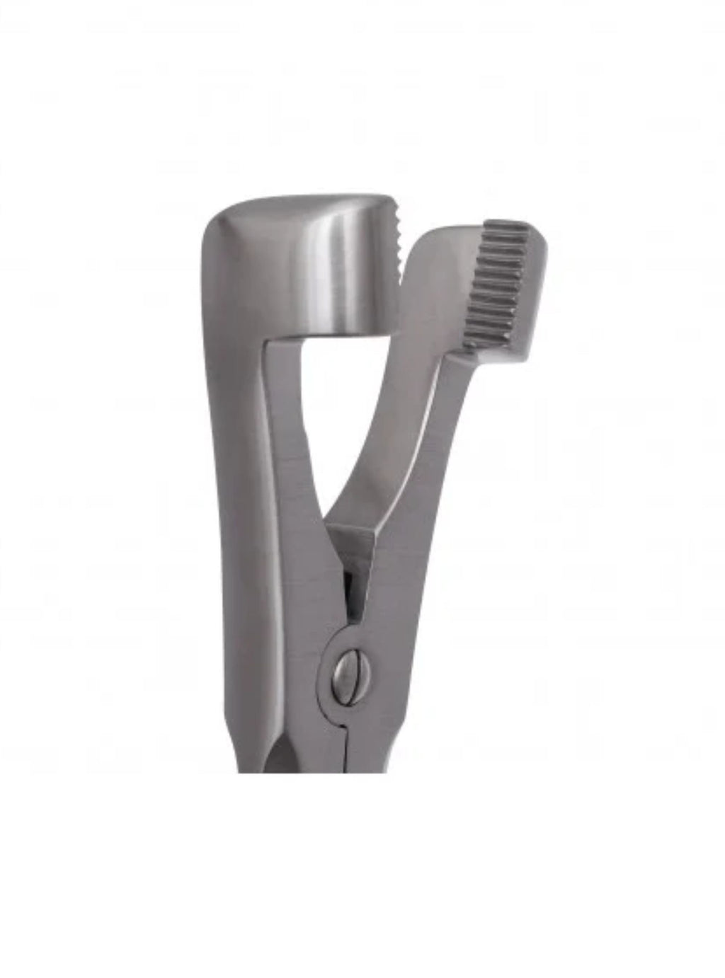 Serrated Jaw Molar Compound 12″ Forceps