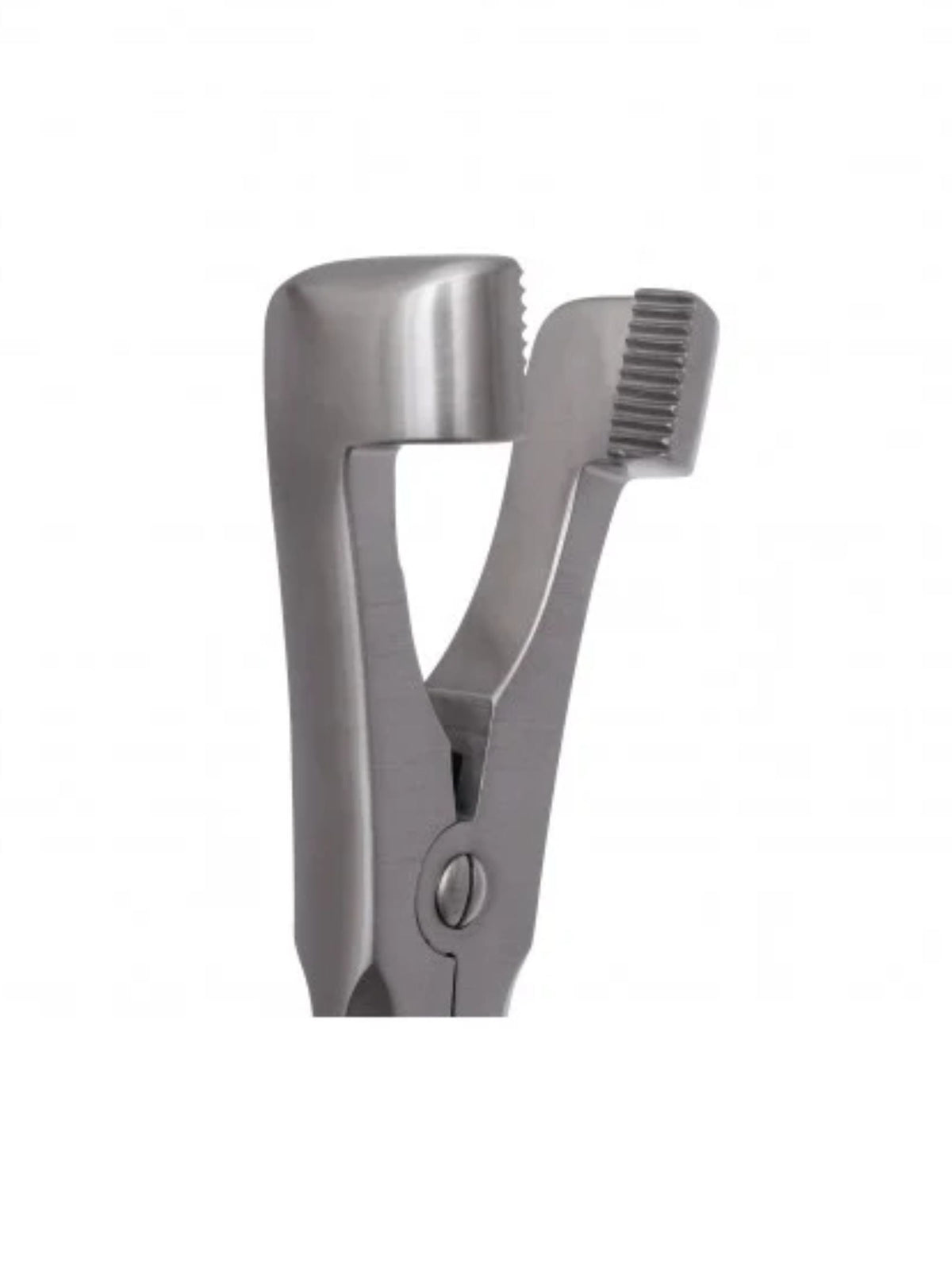Serrated Jaw Molar Compound 12″ Forceps