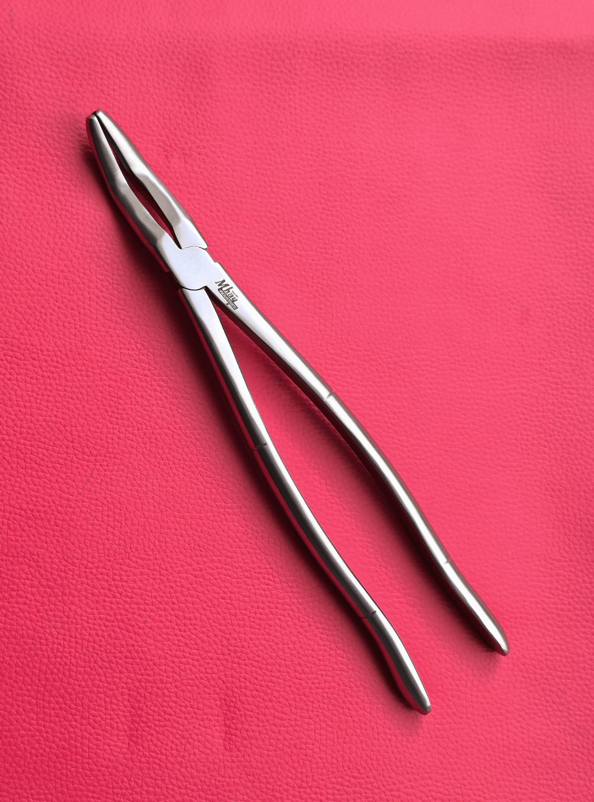 Wolf Teeth Forceps Large