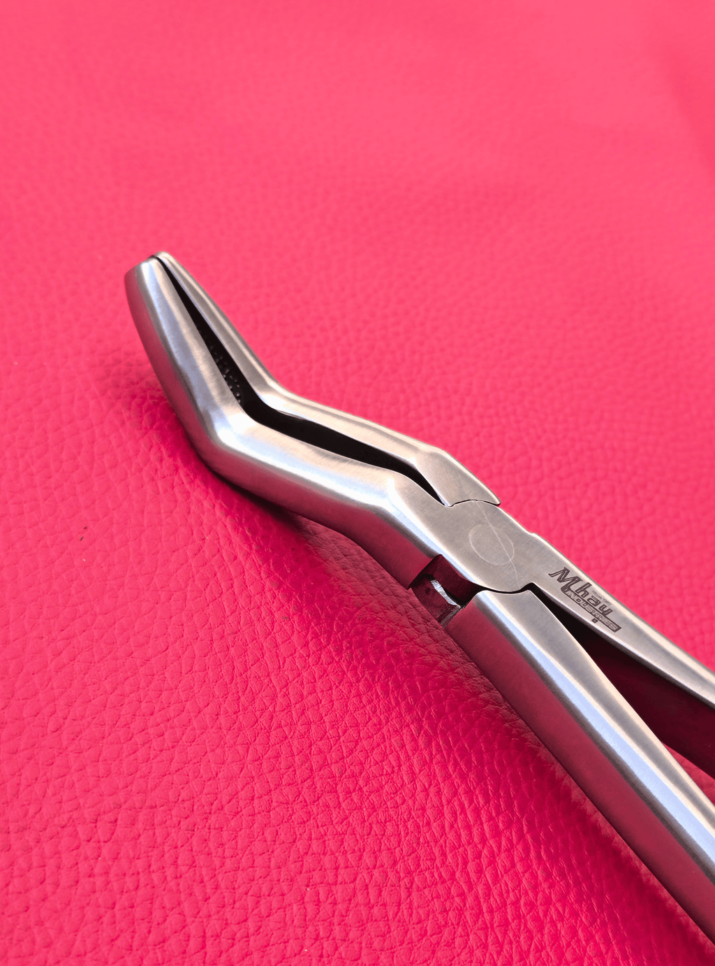 Wolf Teeth Forceps Large