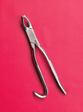 Wolf Tooth Forceps 9.5"