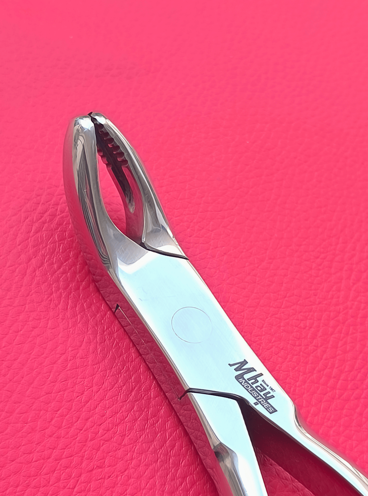 Wolf Tooth Forceps 9.5"