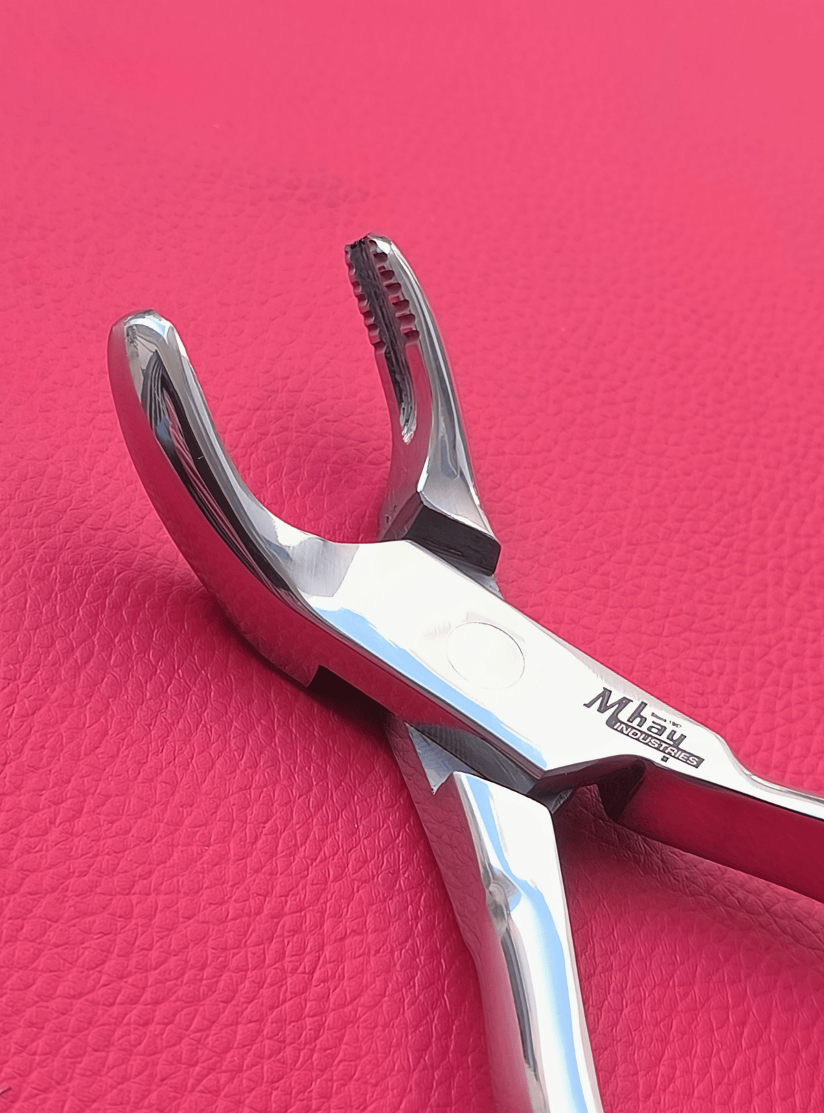 Wolf Tooth Forceps 9.5"