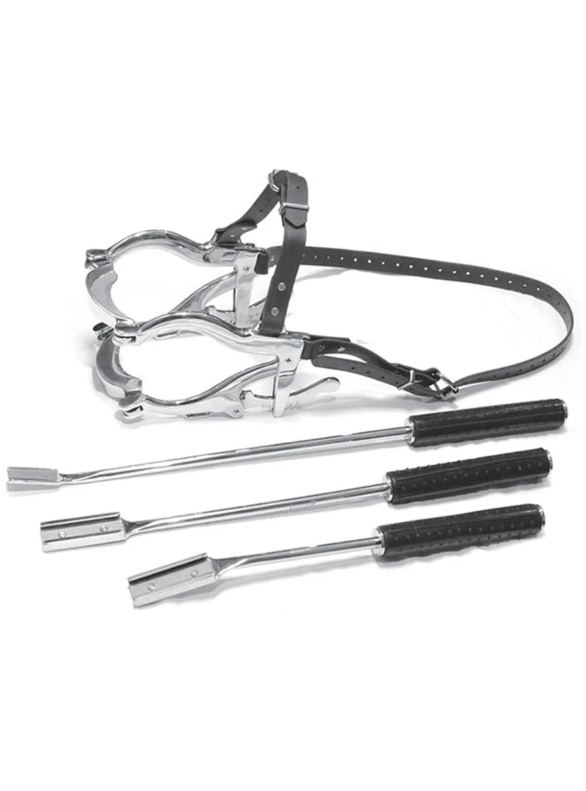Equine Dental Kit (Basic)