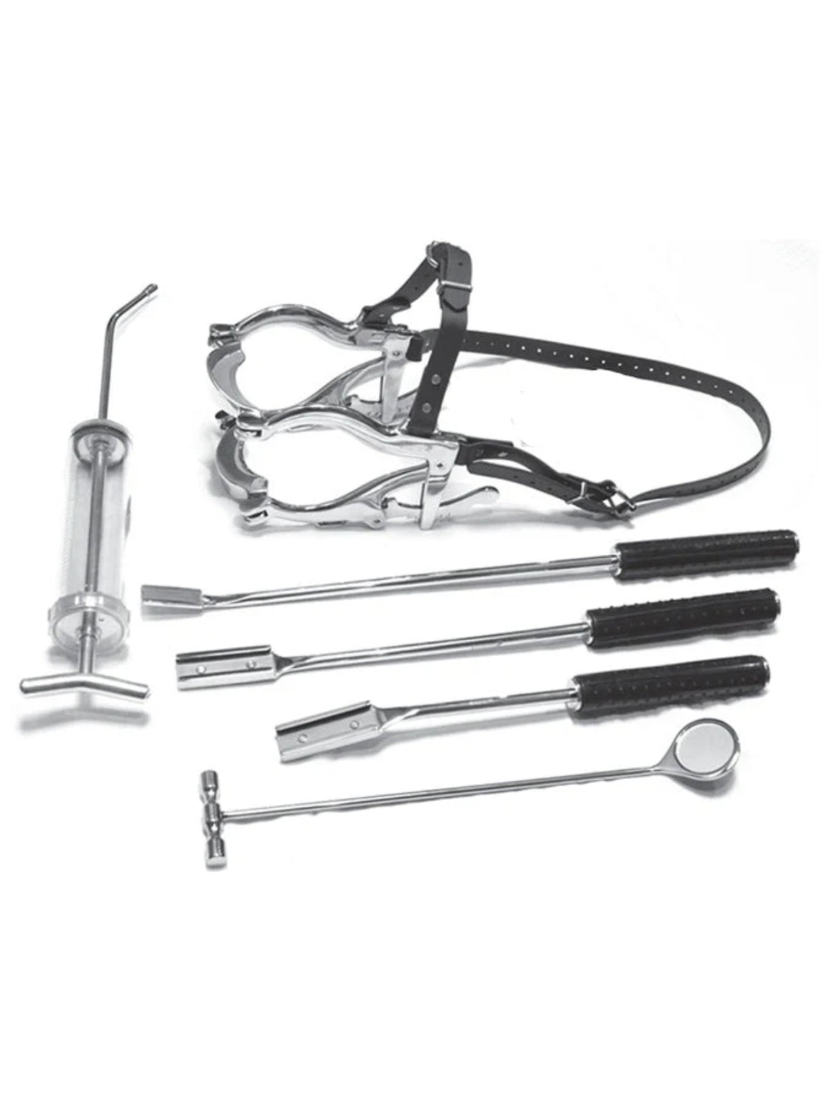 Equine Dental Kit (Complete)